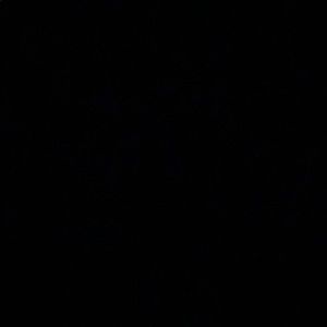 Meet your Posher, Ciera